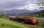 169 005 mit einem Fotogüterzug auf ihrer alten Stammstrecke Murnau - Oberammergau kurz vor Bad Kohlgrub. (05.2004) <i>Foto: Joachim Richling</i>