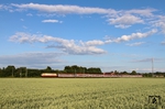 Auf dem Rückweg nach Münster fährt 103 113 mit IC 118 durch die Kornfelder bei Langenfeld. (05.06.2014) <i>Foto: Joachim Bügel</i>