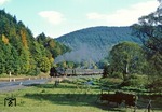 Durch den herbstlich gefärbten Thüringer Wald fährt 95 0016 mit P 18004 bei Blechhammer. (07.10.1978) <i>Foto: Wolfgang Bügel</i>