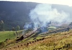 Der steilste Abschnitt lag zwischen Lippelsdorf und Schmiedefeld, wo die Bahn und hier 95 0016 auf einer Länge von 3 km einen Höhenunterschied von 94 m überwinden musste. (07.10.1978) <i>Foto: Wolfgang Bügel</i>
