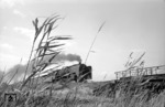 Bekanntes Werbefoto eines Dampfzuges des Hamburger BD-Fotografens im Schilfufer der Luhe bei Winsen. (15.07.1958) <i>Foto: Walter Hollnagel</i>