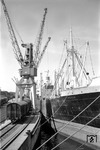 Szene aus dem Hamburger Hafen mit dem Frachter "Beyla" aus Guinea. (12.05.1964) <i>Foto: Walter Hollnagel</i>