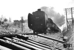 03 037 (Bw Hamburg-Altona) passiert eine Gleisbaustelle bei Bevensen auf der Strecke Hannover - Hamburg.  (17.11.1952) <i>Foto: Walter Hollnagel</i>