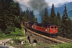 Im Sommer 1983 war der Dampfbetrieb auf der Erzbergbahn bereits seit 5 Jahren vorbei. ÖBB 2043.555 und 2043.557 mühen sich mit Erzzug Gag 79912 bei Präbichl ab. (11.07.1983) <i>Foto: Joachim Bügel</i>