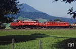 ÖBB 1020.08+ und 1010.06 mit einem Güterzug bei Hopfgarten auf der Giselabahn. (22.08.1984) <i>Foto: Joachim Bügel</i>
