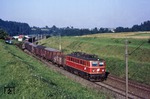 Auf der Westbahn bei Frankenmarkt ist ÖBB 1141.15 mit einem Güterzug unterwegs. (22.08.1984) <i>Foto: Joachim Bügel</i>