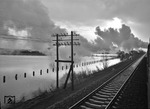 Blick aus den Zug bei Bienenbüttel auf den mit neuen Betonschwellen ausgerüsteten Streckenabschnitt zwischen Lüneburg und Uelzen. Walter Hollnagel interessierte sich aber wohl eher für die Atmosphäre, die der Dampfzug an der Hochwasser führenden Ilmenau erzeugte. (03.1958) <i>Foto: Walter Hollnagel</i>