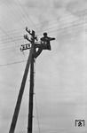 Reparaturarbeiten an einer Freileitung, die damals maßgeblich der Nachrichtenübermittlung (Zugmeldeverfahren) zwischen den Betriebsstellen diente. (1958) <i>Foto: Walter Hollnagel</i>