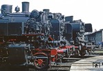 Zum "Tag des Eisenbahners" päsentieren sich 86 001 (vorne), 62 015 und 50 2407 im Bw Glauchau (Sachs). (07.06.1980) <i>Foto: Wolfgang Bügel</i>