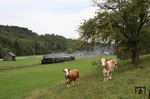 Die Kühe zwischen zwischen Aschach a.d. Steyr und Sommerhubermühle scheinen sich mehr für den Fotografen zu interessieren als für den vorbeidampfenden Museumszug mit 298.102. (24.08.2012) <i>Foto: Stefan Jurasovits   </i>