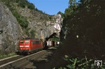 Das Felsentor von Etterzhausen war ein Eisenbahntunnel auf der Bahnstrecke Nürnberg–Regensburg. Der nur 16 m lange Tunnel lag in einem Naturschutzgebiet und unterquerte eine etwa 20 Meter hohe Felsrippe. Er wurde am 31. Mai 2010 gesprengt. Hier unterquert 151 079 mit TEC 42917 (Maschen - Wien) das Felsentor. (13.06.2006) <i>Foto: Thomas Konz</i>