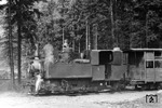Lok 1 am Sägewerk in Oscadnica auf der 760mm Waldbahn Vychylovka. (22.07.1971) <i>Foto: Johannes Glöckner</i>