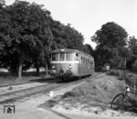 Triebwagen 5 der Uetersener Eisenbahn bei der Einfahrt nach Uetersen Stadt. Die Zugverfolgung fand wohl damals mit dem Fahrrad statt. (09.1963) <i>Foto: Reinhard Todt</i>