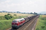 Mit einem gemischten Güterzug ist 218 010 bei Hersbruck unterwegs. (06.09.1975) <i>Foto: Will A. Reed</i>