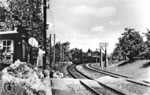 Ein Güterzug passiert einen nicht näher bezeichneten Bahnübergang im Bezirk der RBD Nürnberg, an dem sich die freundliche Schrankenwärterin eigentlich mehr auf den Zug als auf den Fotografen konzentrieren sollte. Übrigens ein Motiv aus dem legendären Reichsbahnkalender.  (1940) <i>Foto: RVM</i>