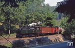 99 5901, die als Reservelok für den Traditionszug grün gestrichen worden war, mit P 14452 zwischen Alexisbad und Harzgerode. (01.06.1979) <i>Foto: Joachim Bügel</i>