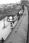 Im Bahnhof Malsfeld, auf halbem Weg zwischen Kassel und Bebra, ist ein Eilzug mit einer ölgefeuerten 01.10 eingetroffen. (04.1964) <i>Foto: Helmut Först</i>