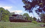 Durch den Moosacher Wald fährt die Nürnberger 194 050 mit einem Güterzug aus Regensburg. (25.05.1979) <i>Foto: Wolfgang Bügel</i>