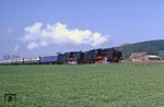 Rheingold-Sonderzug mit 24 009 und 24 083 zwischen Lengerich und Bad Iburg bei Lienen. (05.04.1980) <i>Foto: Wolfgang Bügel</i>