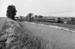 Ein unerkannt gebliebener VT 23/24 auf dem Weg von Altenbeken nach Kassel kurz vor Warburg. (09.1964) <i>Foto: Reinhard Todt</i>