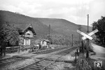 Bahnübergangsidylle an der Strecke Heidelberg - Neckarsteinach.  (08.1949) <i>Foto: Walter Hollnagel</i>