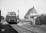 Diesellok D 02 der Meppen-Haselünner Eisenbahn fährt mit einem Güterzug im Bahnhof Bokeloh ein. (09.1966) <i>Foto: Reinhard Todt</i>