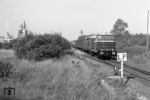 Lok D 02 mit einem Güterzug beim Spanplattenwerk in Bokeloh. (09.1966) <i>Foto: Reinhard Todt</i>