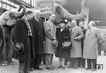 In Düsseldorf Hbf begrüßten vier Elefanten vom gerade dort gastierenden Zirkus Williams die Repräsentanten des Freundschaftszuges. (03.1948) <i>Foto: Hans Berkowski</i>