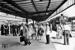 Zur Jungfernfahrt der neuen "Bremen" bringt 03 102 zahlreiche Passagiere zum Columbusbahnhof nach Bremerhaven. (09.07.1959) <i>Foto: Walter Hollnagel</i>