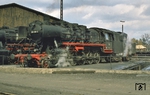 051 198 (50 1198 der Lokomotivfabrik Wien-Floridsdorf, Baujahr 1941) im Bw Schwandorf. (22.09.1973) <i>Foto: Prof. Dr. Willi Hager</i>