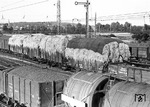 Güterzüge im Rangierbahnhof Kornwestheim im Norden Stuttgarts. Der Bahnhof ist nach dem Mannheimer Rangierbahnhof der zweitgrößte Rangierbahnhof in Baden-Württemberg. (1937) <i>Foto: RVM</i>