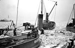Im strengen Winter 1945/46 fror sogar die Elbe flächendeckend zu. Mehrere Schlepper sind einem havarierten Kollegen zuhilfe gekommen, dessen Besatzung per Hand (!) probiert, das Schiff aus der eisigen Umklammerung zu befreien. (01.1946) <i>Foto: Walter Hollnagel</i>
