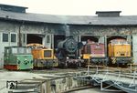 Zum "Tag des Eisenbahners" wurde in Kamenz eine kleine Lokparade organisiert, bei der sich u.a. 52 8104, 110 493 und 106 678 vor dem dortigen Lokschuppen präsentierten. (20.06.1981) <i>Foto: Wolfgang Bügel</i>
