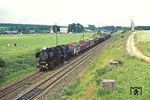 Bei Seeligstadt rollt 52 8107 mit ihrem Güterzug Arnsdorf entgegen. (21.06.1981) <i>Foto: Wolfgang Bügel</i>