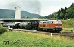 215 138 und 051 630 vor Ng 63375 (Rottweil - Singen) auf der Gäubahn bei Neckarhausen. (16.07.1974) <i>Foto: Prof. Dr. Willi Hager</i>
