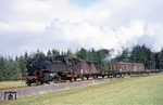 Der Nahgüterzug 16185 nach Eslarn hat mit 064 393-2 bei Pfrentsch bereits eine beachtliche Länge erreicht. (12.09.1973) <i>Foto: Peter Schiffer</i>