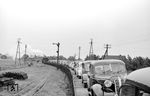 Auf einfachen K-Wagen, gezogen von einer P 8, begann die Autobeförderung über den Hindenburgdamm nach Sylt. Gut zu sehen ist, dass die Pkw mit Insassen rückwärts auf den Flachwagen befördert wurden, was nicht jedem Reisenden bekam und auch heute, insbesondere bei sehr großen Luxus-Pkw, noch erlebt werden kann. (1951) <i>Foto: Walter Hollnagel</i>