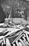 Holzflößer auf der Gutach bei Triberg. (1934) <i>Foto: Theo Felten</i>