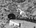 Lok 13 taucht mit ihrem Güterzug auf der meterspurigen Kohlebahn Ponferrada - Villablino in den nächsten Tunnel ein. (06.09.1972) <i>Foto: Johannes Glöckner</i>