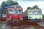 Vergleichsaufnahme zwischen den beiden Akku-Triebwagen 517 005 (Baujahr 1954) und dem "Nachfolgemodell" Steuerwagen 815 805 (Baujahr 1964) im Bw Limburg. (21.08.1981) <i>Foto: Joachim Bügel</i>