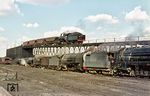 Im Depot Bloemfontein sorgt der 1902 bei Neilson, Reid & Co in Glasgow gebaute Oldtimer 8D(S) No. 1223 für Kohlennachschub. Davor wartet schon u.a eine Reihe Lokomotiven der Class 15F. (02.1969) <i>Foto: B. Roberts</i>