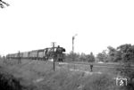 Bei Mannheim-Blumenau ist 03 1016 vom Bw Ludwigshafen mit einem Schnellzug unterwegs. (1955) <i>Foto: Peter Wagner</i>