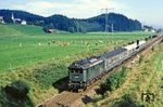 144 504 mit N 5511 nach Berchtesgaden bei Hammerau. (22.09.1981) <i>Foto: Wolfgang Bügel</i>