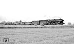 Eher selten waren Einsätze der Baureihe 01.10 vor Güterzügen. Hier erwischte B. Wollny 012 066 mit leeren Autotransportwagen bei Oldersum.  (08.05.1972) <i>Foto: Burkhard Wollny</i>
