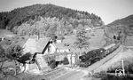 Perfekte Eisenbahnidylle mit 038 382 vor N 3977 nach Hausach im herbstlichen Kinzigtal bei Schenkenzell.  (27.10.1973) <i>Foto: Burkhard Wollny</i>