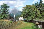 50 3671 (Bw Reichenbach) vor Ng 66333 in einer fast perfekten Eisenbahnidylle bei Auerbach im Vogtland. (27.09.1982) <i>Foto: Wolfgang Bügel</i>