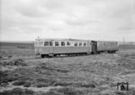 Triebwagen T 24 (Talbot, Baujahr 1949) kam 1958 von der Eckernförder Kreisbahn nach Sylt und wurde 1971 an die Juister Inselbahn weitergegeben. (13.05.1961) <i>Foto: Detlev Luckmann</i>