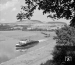 Schleppverband mit der "Hameln" auf der Weser bei Rühle. (27.07.1961) <i>Foto: Detlev Luckmann</i>