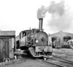 Lok 33 "BRUCHHAUSEN" (Hanomag, Baujahr 1899) vor dem Schuppen in Hoya. (23.09.1961) <i>Foto: Detlev Luckmann</i>