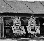 Die Zugloks aus den Schnellzügen D 1100 und D 200 sonnen sich vor dem Schuppen im Bw Bebra. (17.02.1973) <i>Foto: Dieter Kempf</i>